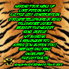 lifeno9 thubnail iamge back cover CD