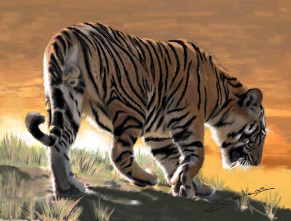 Bandhavgarh