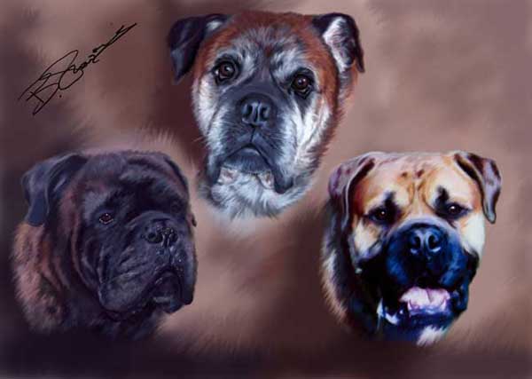 canine-trio