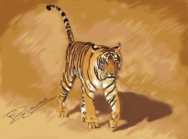 t17 with her tail up