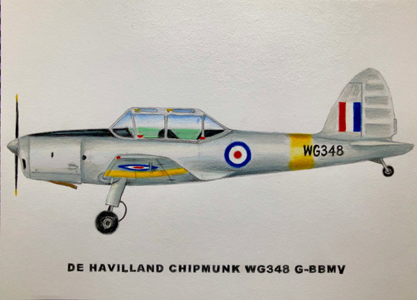 Chipmunk WG348 painting