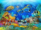painting of aquarium