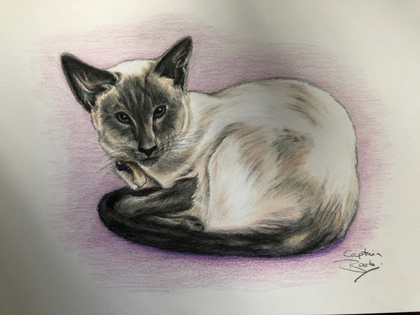 Commission of Janet's cat Blue requested by my Brother Eddy