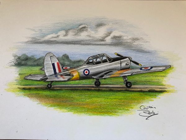 boultbee chipmunk painting