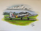 chipmunk at goodwood by John Richardson drawing