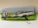 chipmunk sortie drawing of me abd G-BBMV