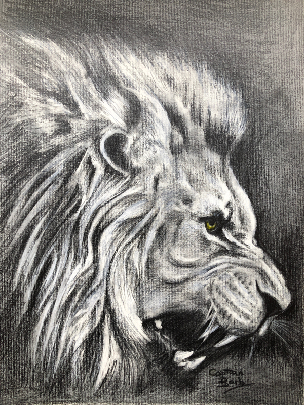King of the jungle drawing