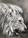 lion roaring pencil drawing thumbnail