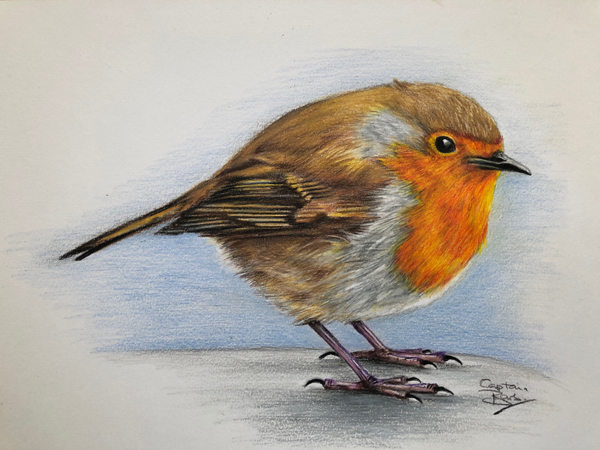 robin drawing to remind me of Mum