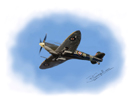 spitfire from photo by John Richardson thumbnail