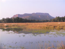 Scene from Bandhavgarh