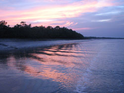 Sundarbans